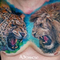 realistico testa di  leopardo e leone tatuaggio su petto da Pancho