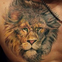 Realistic lion face tattoo on chest