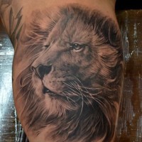 Tattoo von realistischem Löwenkopf auf dem Bizeps