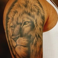 Realistic lion head tattoo on shoulder for men