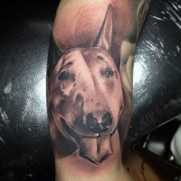 Tatuaje en el brazo, retrato de perro dulce