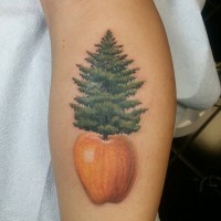 Realistic naturally colored pine tree in apple forearm tattoo