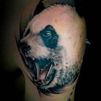 Tatuaggio realistico sul deltoide la testa del panda con la bocca spalancata