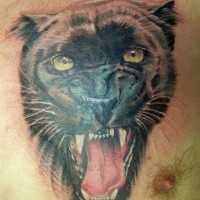 Tatuaggio colorato sul petto la pantera con la bocca spalancata