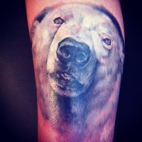 Realistic portrait of a polar bear tattoo