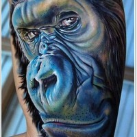 Realistic portrait of monkey tattoo on half sleeve