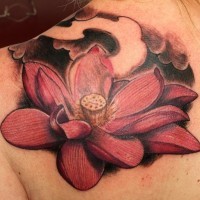 Realistic red lotus tattoo on shoulder blade