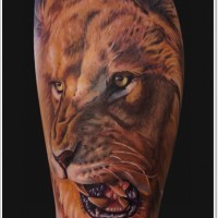 realistico leone ruggente tatuaggio sul braccio
