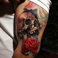 Tatuaje en el brazo, cráneo agrietado y rosa de color rojo brillante