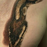 Super realistic snake tattoo on chest