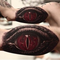 Realistic terrible red eye reptile tattoo on arm by Shevchenko