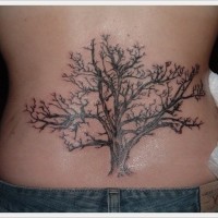 albero realistico tatuaggio su parte bassa di schiena