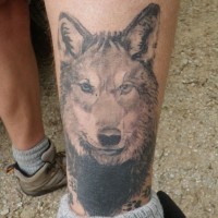 Realistic wolf face tattoo on leg