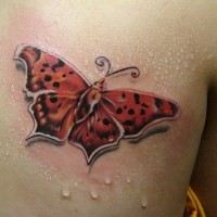 Tatuaggio colorato sulla spalla la farfalla
