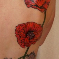 Rote Mohnblumen mit Kartoffelkäfer Tattoo am Rücken
