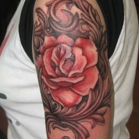 Red rose is surrounded by ornament tattoo on half sleeve