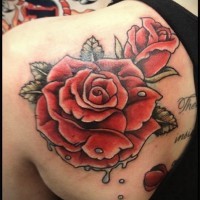 Red roses tattoo on shoulder blade