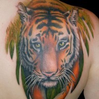Tattoo vom Tiger auf der Rückseite der rechten Schulter