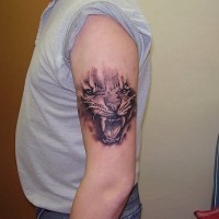 Ripped skin style black and white little roaring tiger face tattoo on shoulder