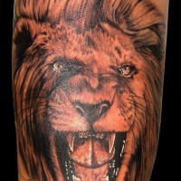 Roaring face of lion tattoo