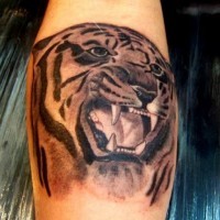 Roaring tiger head black ink  tattoo
