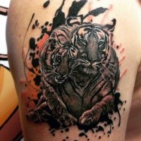 Romantic watercolor style shoulder tattoo of tiger couple