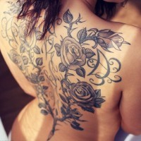 Tatuaje en la espalda, rosal, descolorido