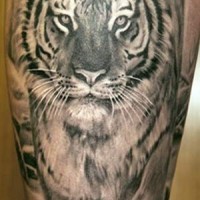 Running tiger tattoo on leg