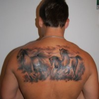 Running wild horses tattoo on back for men