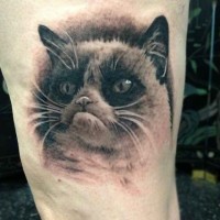 Sad cat tattoo on leg