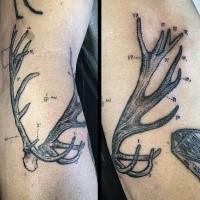 Science style black ink arm tattoo of market deer horn