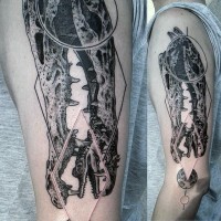 scientifico stile nero e bianco cranio alligatore tatuaggio a manicotto