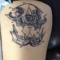 Scientific style black and white animal skull tattoo on thigh
