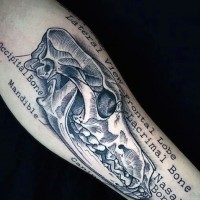 Scientific style black and white big animal skull with lettering tattoo on arm