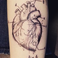Tatuaje en el antebrazo, diseño de corazón humano con letras, estilo científico