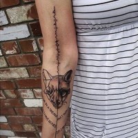 Tatuaje en el brazo, mitad cráneo mitad zorro, estilo científico