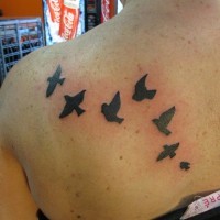 sette piccoli uccelli tatuaggio su spalla di ragazza