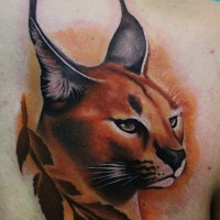 bel disegno grande colorato costante gatto selvaggio tatuaggio su spalla