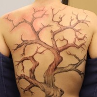 carino disegno colorato grande albero solitario tatuaggio pieno di schiena