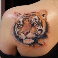 Scharf gemaltes schönes detailliertes und farbiges Tiger Tattoo auf der Schulter
