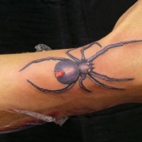 Sharp violet colored little spider tattoo on wrist