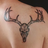 Simple big black ink deer skull tattoo on shoulder