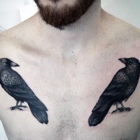 Tatuaje en el pecho, dos cuervos pequeños de tinta negra