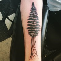 Simple colored big forearm pine tree tattoo