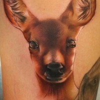 Tatuaje  de ciervo joven bonito en el brazo