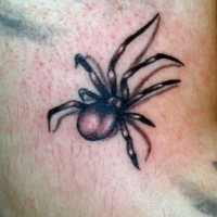 Simple designed 3D black and white little spider tattoo on arm