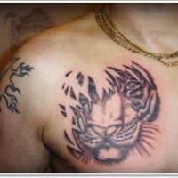 Simple designed and colored big ripped tiger portrait tattoo on chest