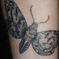 Simple designed black ink big tattoo of night butterfly