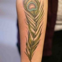 Tatuaje en el antebrazo, pluma verde de pavo real
