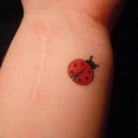 Simple ladybug tattoo on arm